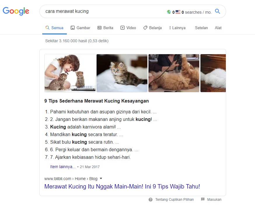 cara merawat kuncing keyword