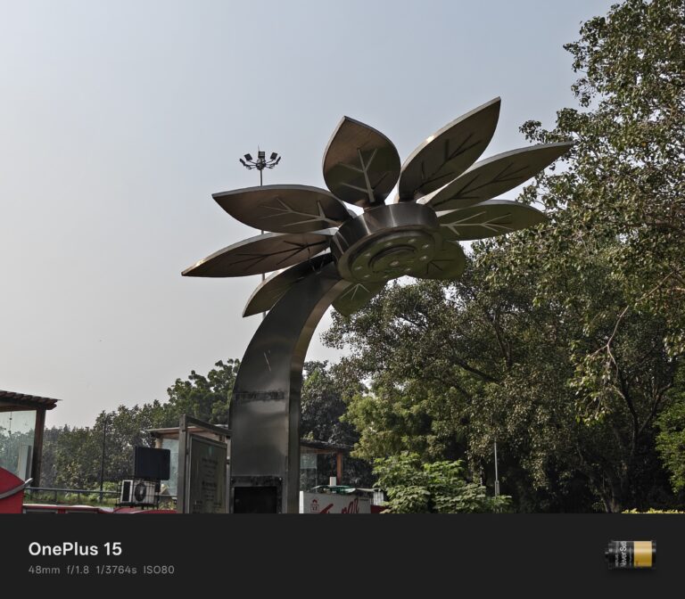 Daylight sample from OnePlus 15 camera of a tree.