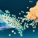 The ‘10 Martini’ Proof Connects Quantum Mechanics With Infinitely Intricate Mathematical Structures - df