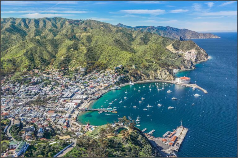 la-isla-catalina-en-california-ofrece-paisajes-a-CRA6YGKTDFCWTM33ZX3OQZ6D7Q.jpg