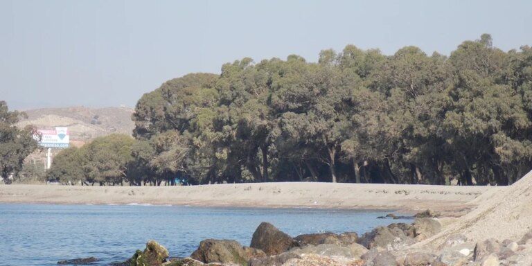 playa-quitapellejos-palomares-almeria-U50537452444Yak-1024x512@diario_abc.jpeg