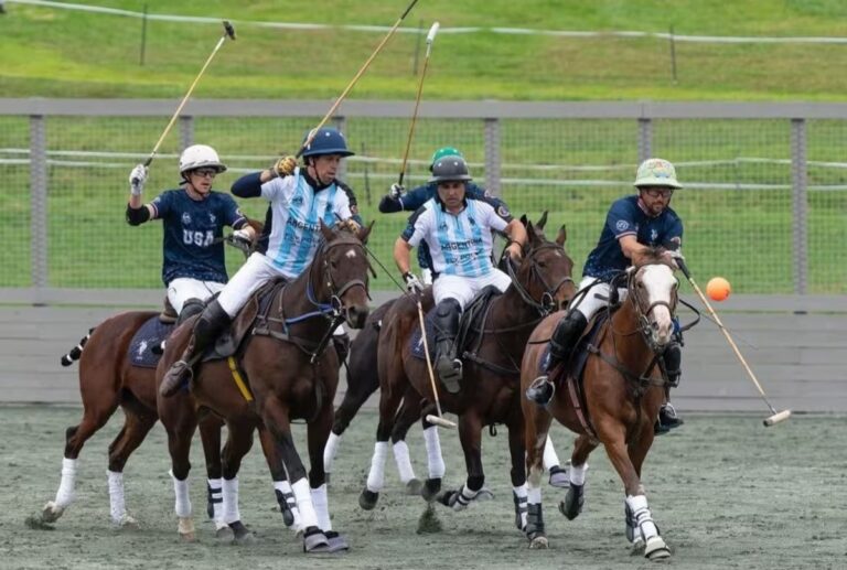 polo-arena-en-modo-mundial-argentina-fue-GJKJEIJESZDF7OPMJ277ZYM2VQ.jpg