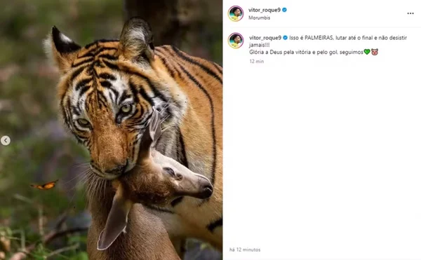 tigre-veado-homofobia-sao-paulo-vitor-roque.jpg